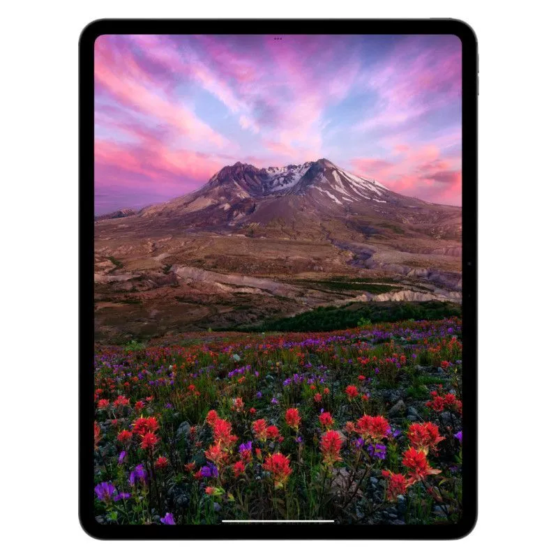 iPad Pro 2025 11" Wi-Fi 1024Gb Черный космосphoto3