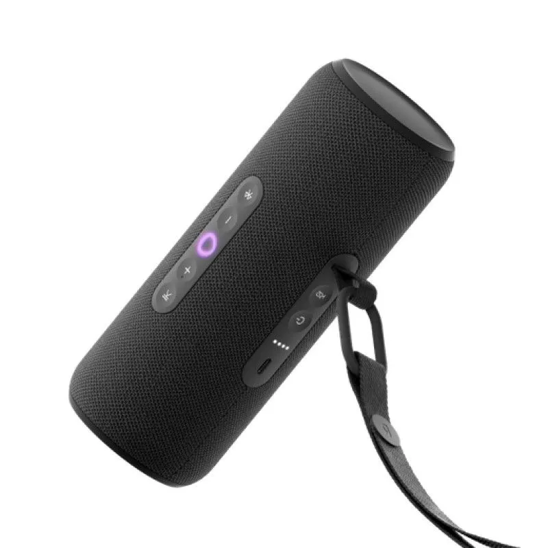 Портативная колонка Яндекс Станция Стрит с Алисой Черныйphoto0