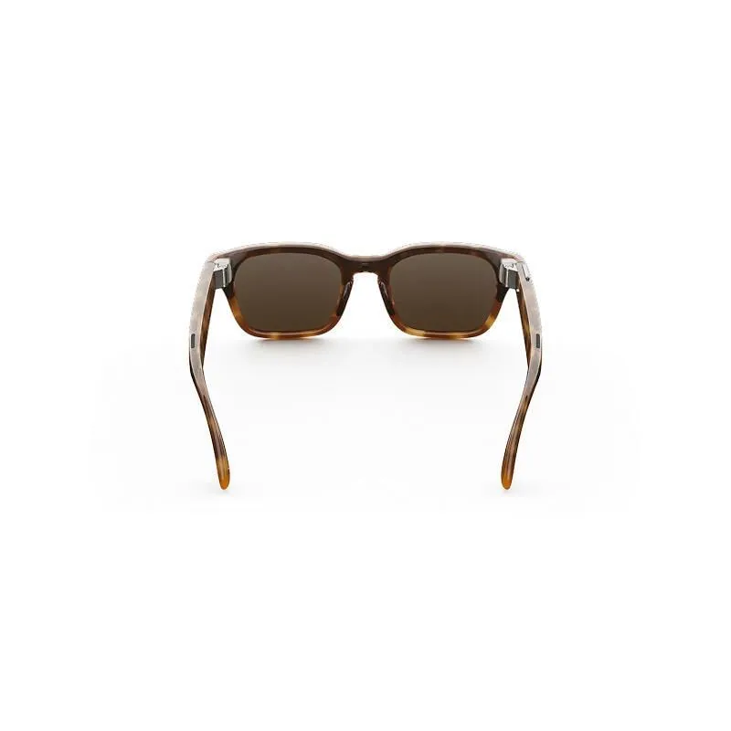Adventurer Classic Tortoise, линзы Коричневые, размер Mphoto2