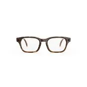 Adventurer Classic Tortoise, линзы Прозрачные, размер L