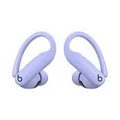 Беспроводные наушники Beats Powerbeats Pro 2 Фиолетовый